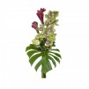 The orchid in full splendor